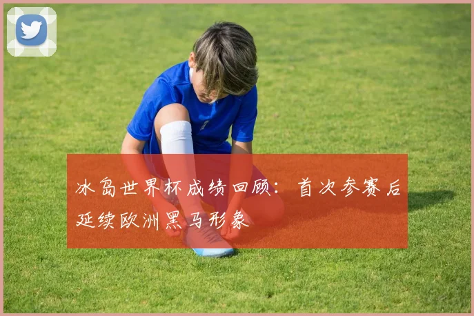 冰岛世界杯成绩回顾:首次参赛后延续欧洲黑马形象