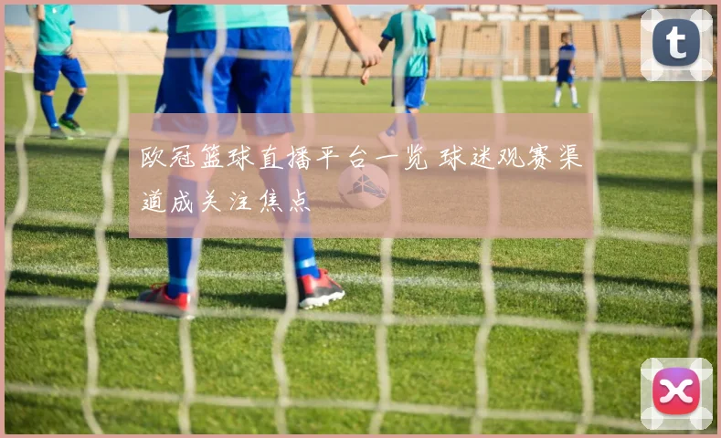 欧冠篮球直播平台一览 球迷观赛渠道成关注焦点